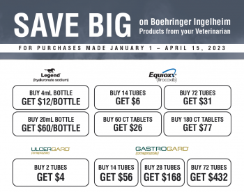 Save BIG on Boehringer Ingelheim Products from your Veterinarian