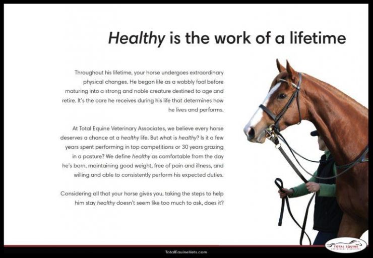 Request our Free Healthy for Life Guide