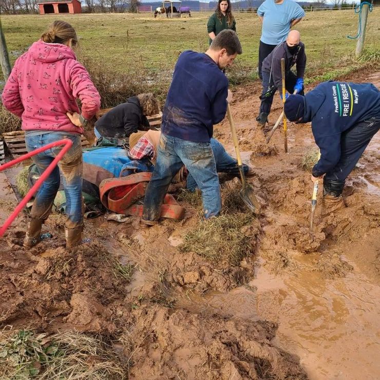 Ella the Horse gets assistance from mud Ella the Horse gets assistance from mud