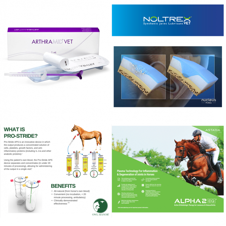 Beyond-Steroids-Joint-Treatments-TEVA-2022.png
