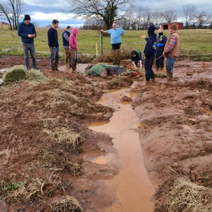Ella the Horse gets assistance from mud Ella the Horse gets assistance from mud