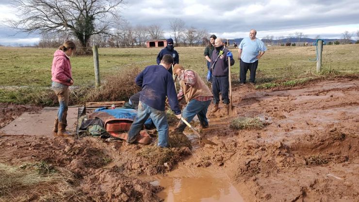 Ella the Horse gets assistance from mud Ella the Horse gets assistance from mud