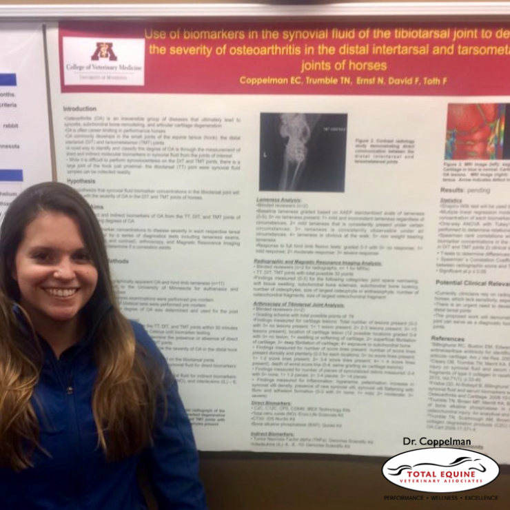 Dr. Elizabeth Coppelman