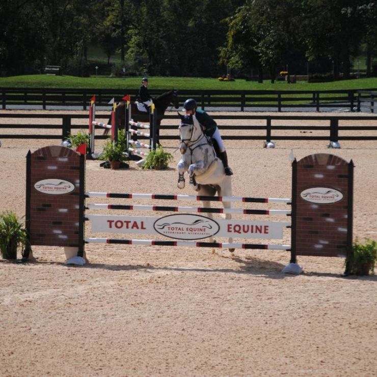 Erin Gilmore Photography - TEVA Horse Jump at Morven Park