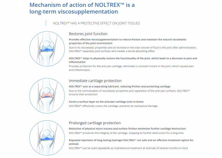 Beyond Steroids: Noltrex®Vet